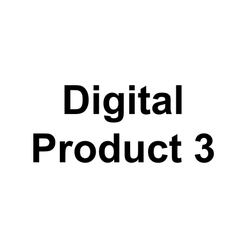 Digital Product 3 (exclusively in Bundle)